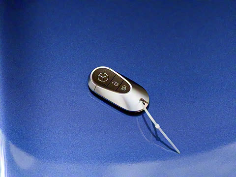 2024�� E 350 e L ���ʽ��϶����γ�