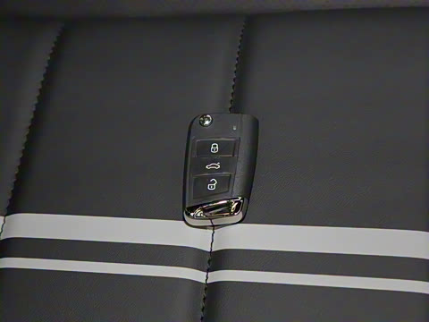 2025�� 300TSI DSG���������