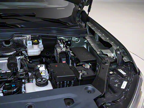 2025�� ������PLUS