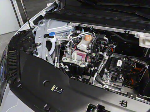 2025�� 520�Ǻ���