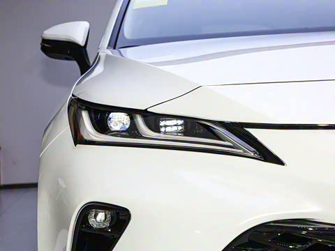 2024�� 2.5L���ܵ��˫�� ��������PLUS��