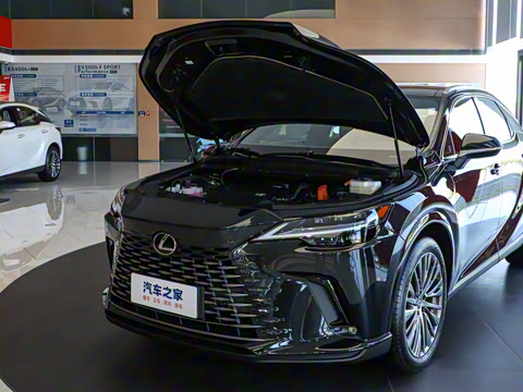 2023�� 350h ����������