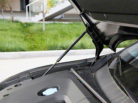 2025�� 505����Plus��