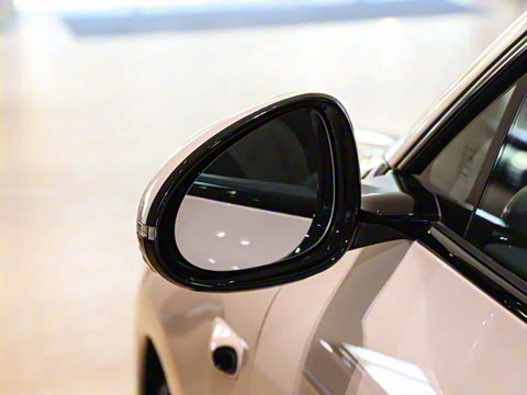 2025�� ����������������