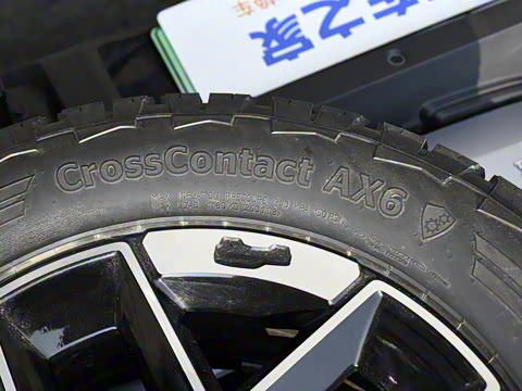 2024�� ����������