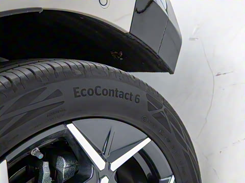 2025�� 530km ����Max