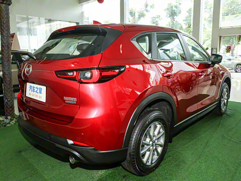 2024�� 2.0L �Զ���������Pro