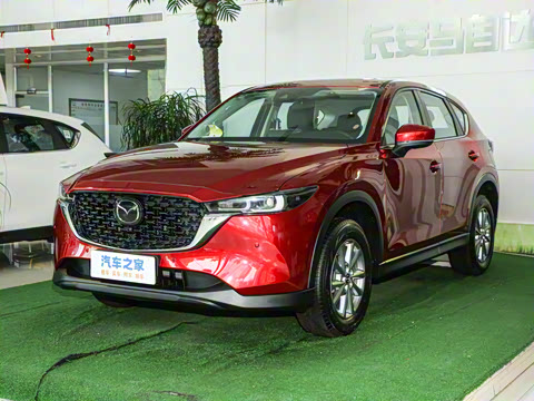 2024�� 2.0L �Զ���������Pro