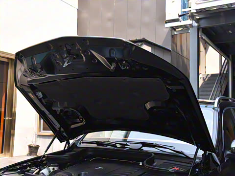 2025�� ����������