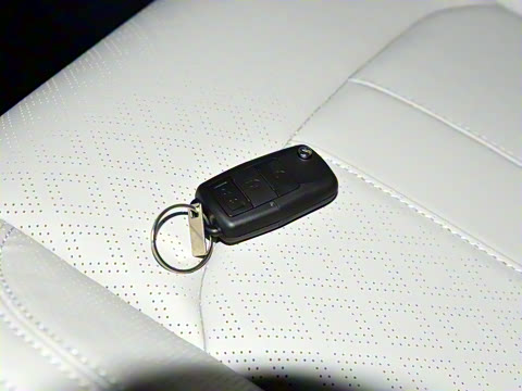 2024�� 2.0L �ֶ�������CNG 9��