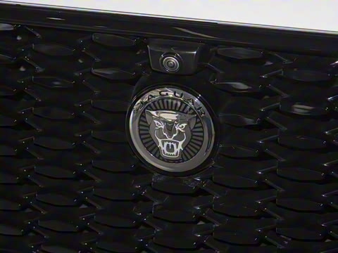 2025�� P250 R-Dynamic SE