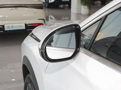 2024�� ��ҫ�� DM-i 205KM �콢��