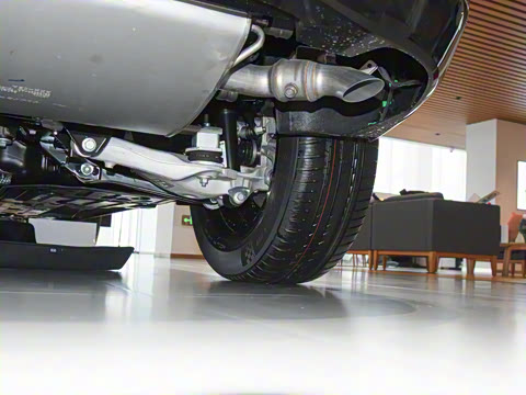 2025�� B5 �������ݺ�����