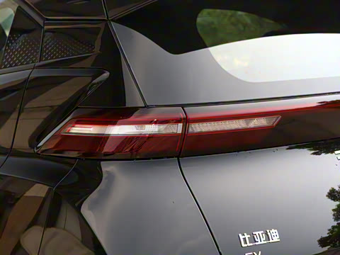 2025�� 305km ������