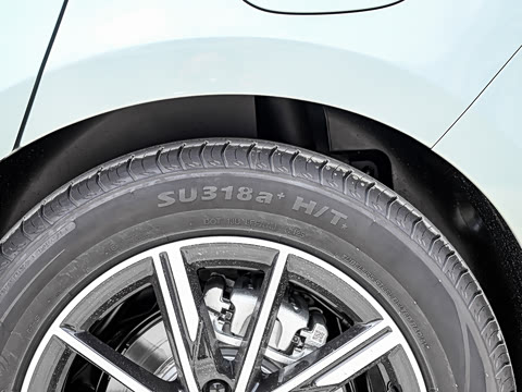 2025�� DM-i 80KM�����