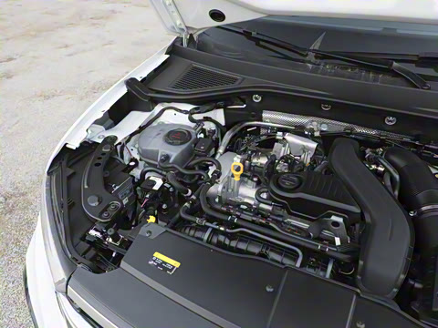 2025�� 300TSI DSG���������