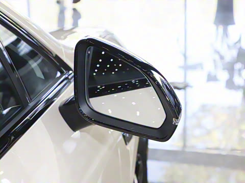 2025�� 520�Ǻ���