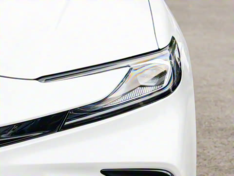 2025�� ˫�� 2.5HXS �˶�Plus���а�