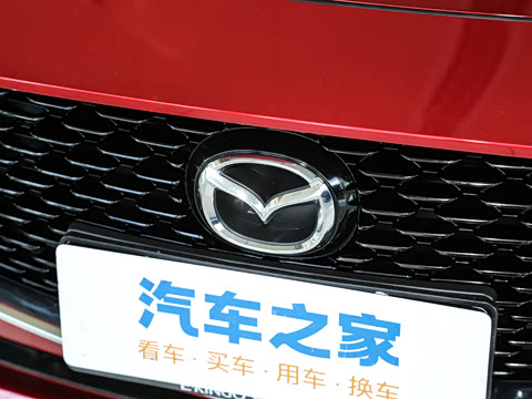 2023�� 2.0L �Զ����Ű�