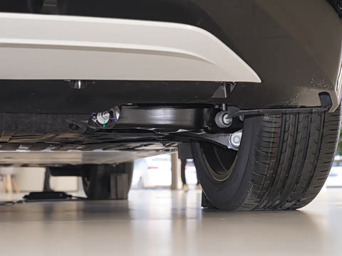 2025�� ��������ħ����