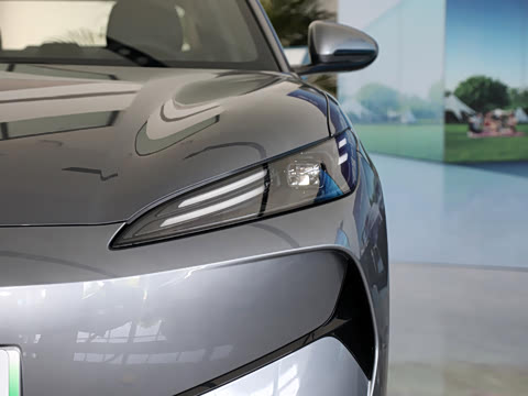 2025�� 520�ǻݰ�