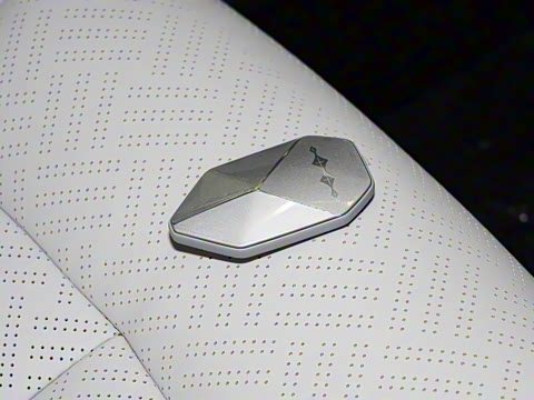 2025�� 501KM ����Max��