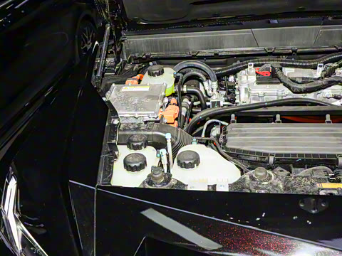 2025�� M800 ǹ��õ��