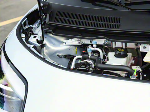 2025�� 330��ҫ��