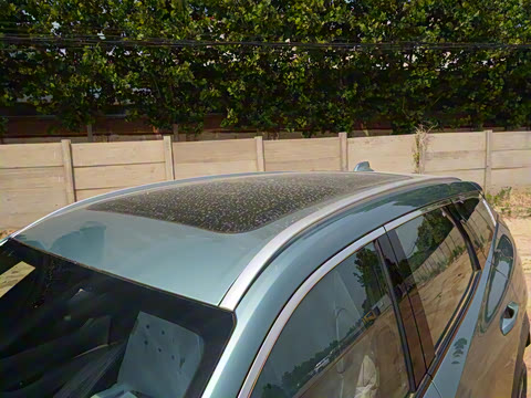 2025�� ���Ĵ� 1.5TD DCT ����