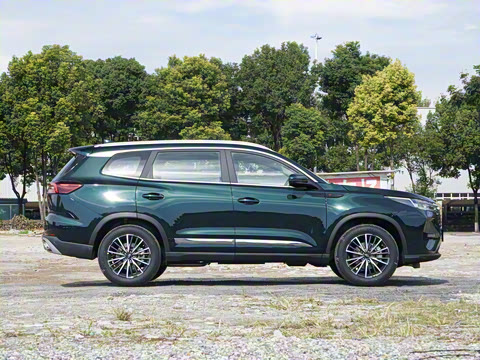 2025�� 290T ��������