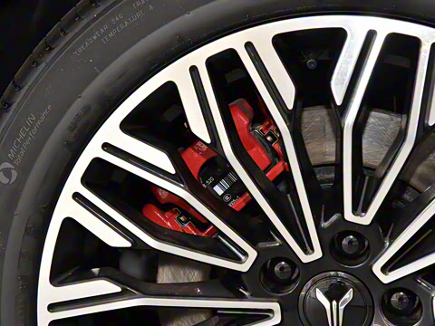 2025�� FREE+ ����Ǭ����