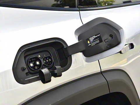 2024�� ����������