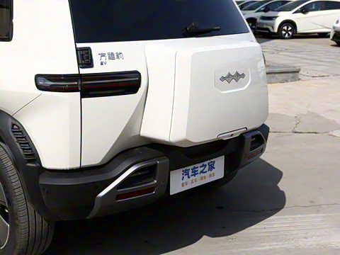 2025�� 501KM ����Max��