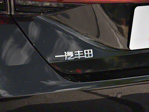 2024�� ˫�� 2.5L XLE����