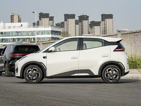 2025�� �Ǽݰ� 305km ���ɰ�