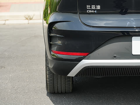 2025�� DM-i 175KM �캽��