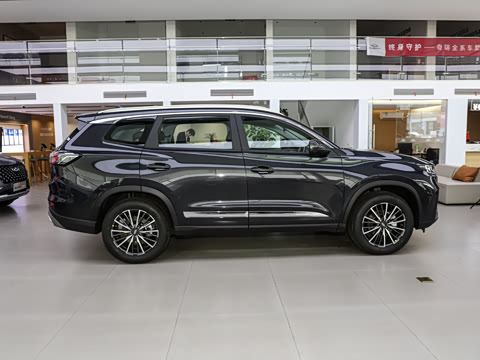 2025�� ׿Խ�� 230TCI �ֶ����ʰ� 5��