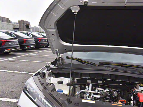 2025�� 518������