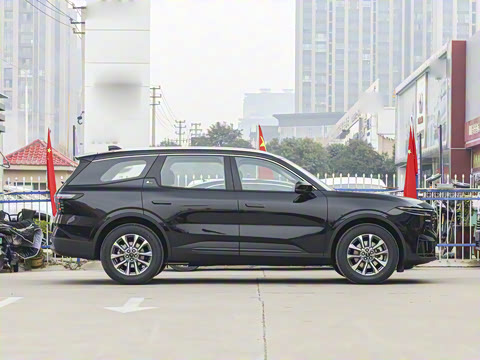 2025�� ���L 2.0T EcoBoost E�춯��������ʱ����