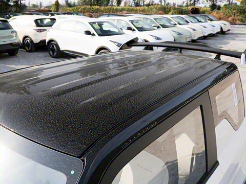 2025�� 210km ��è����