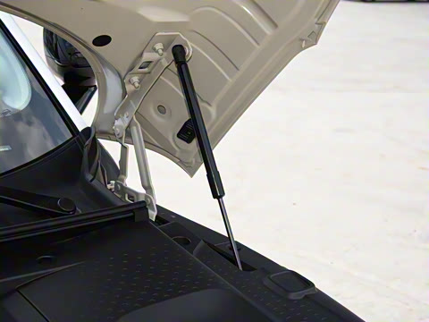 2026�� �鶯��������