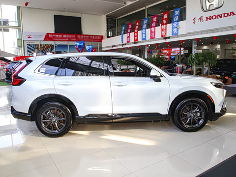 2023�� 2.0L e:HEV ������ҫ��
