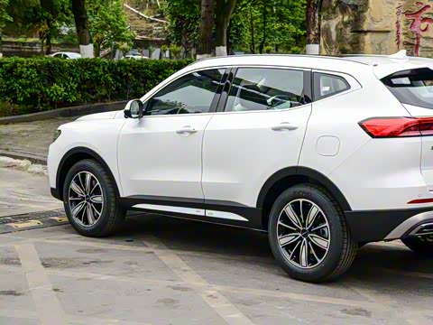 2025�� 1.5T �����ھ���