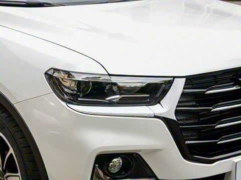 2025�� 1.5T �����ھ���