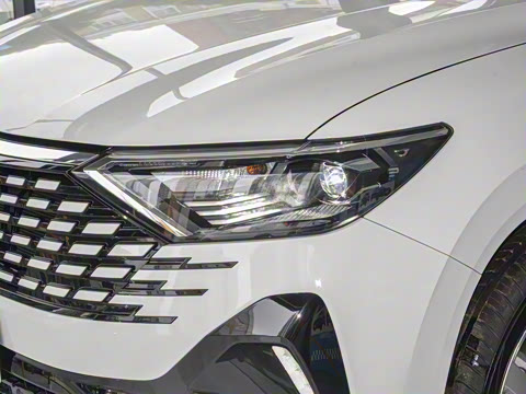 2024�� ���������� 280TSI �ֶ��ȷ��