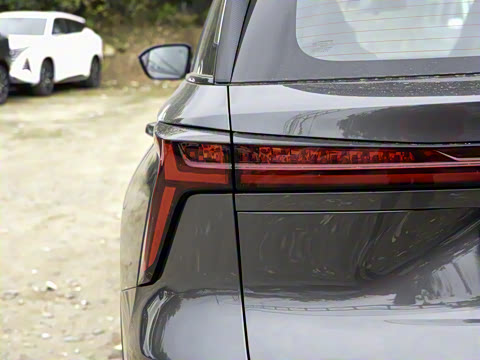 2024�� ������ �ھ��� 2.0T �Ǽݾ�����