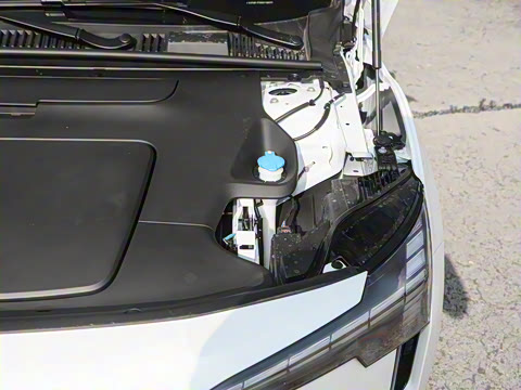 2025�� ������������ Plus