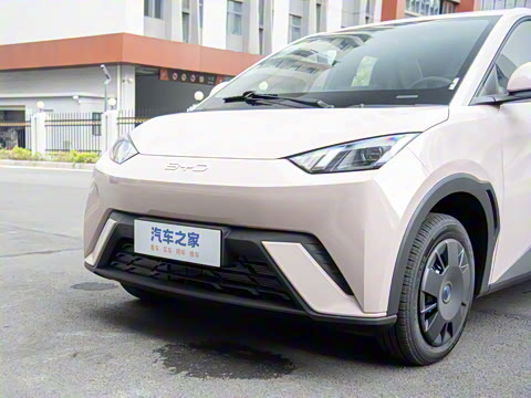 2025�� 305km ������