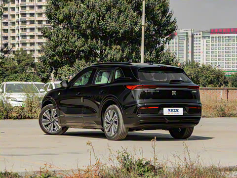 2024�� ��������Ӱ����