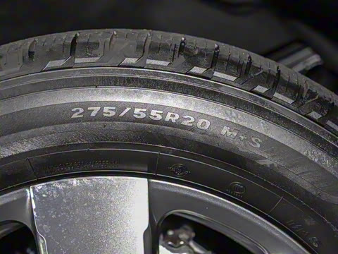 2024�� ���̽��װ� 5��